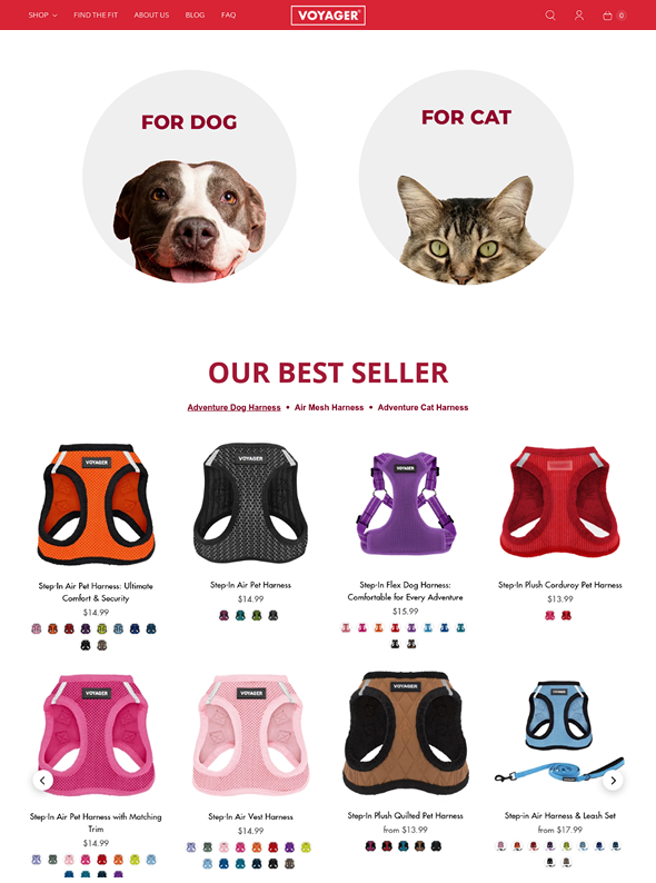 Homepage Screenshot